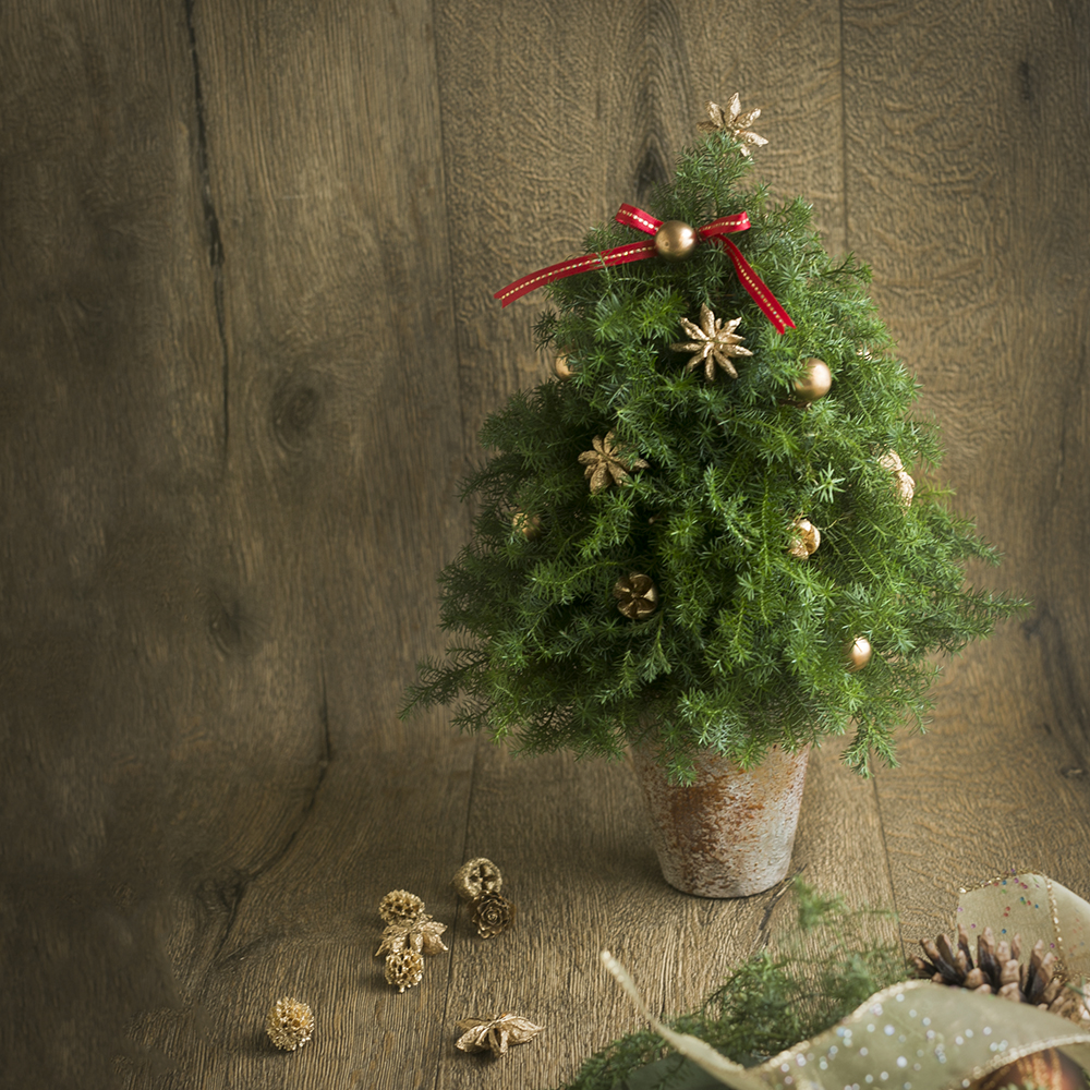エバーグリーンで作るクリスマスツリー アトリエfloret R